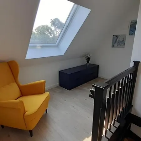 Fh Magnolia Fuer 12 Pers. Mit Terrasse + Dachterasse Holiday home Born